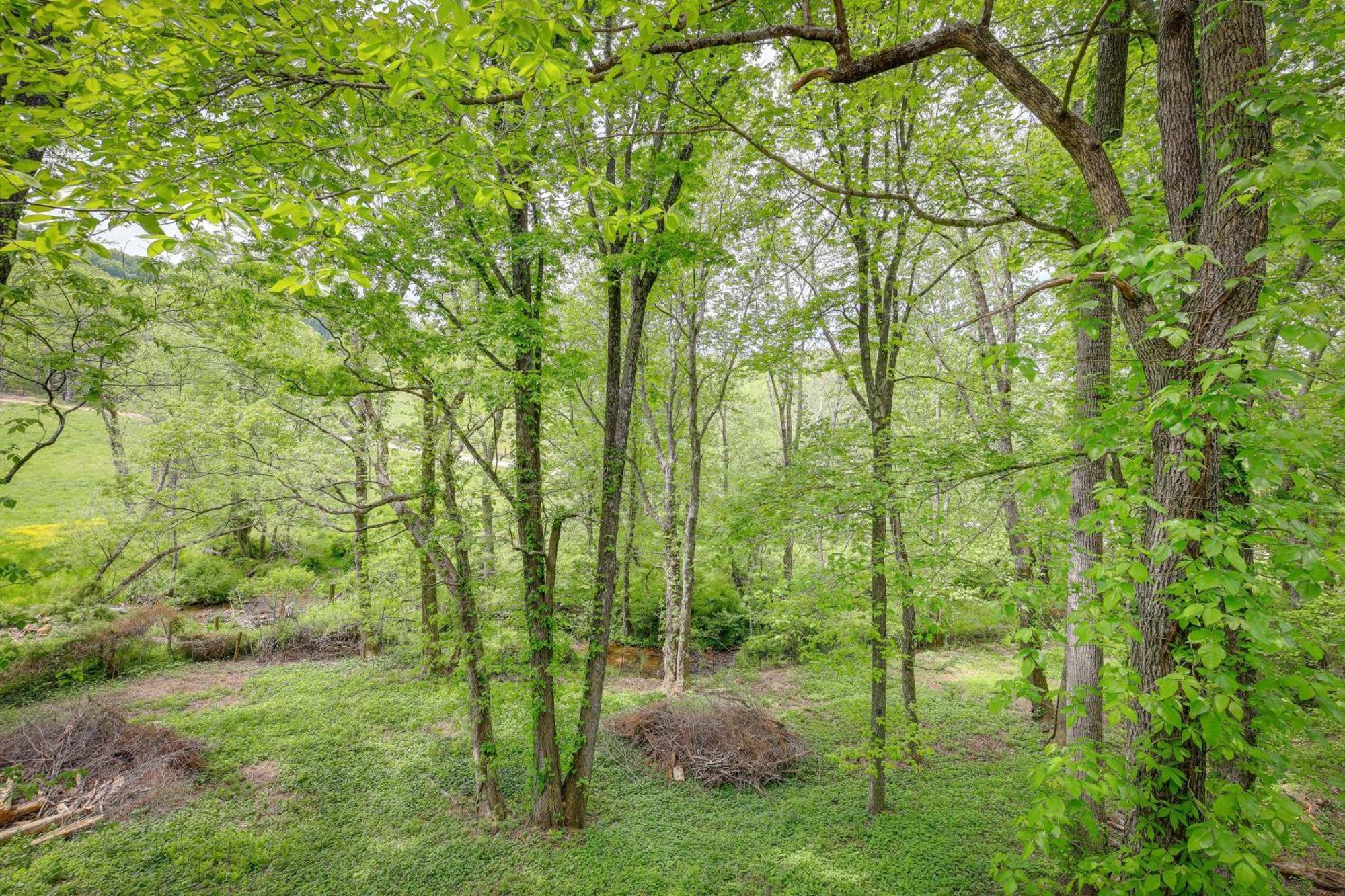 Quaint Blue Ridge Cabin Rental With On-Site Stream! Sparta Exterior photo